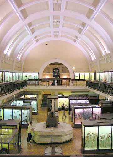 Horniman Museum and Gardens (01/05/2019)