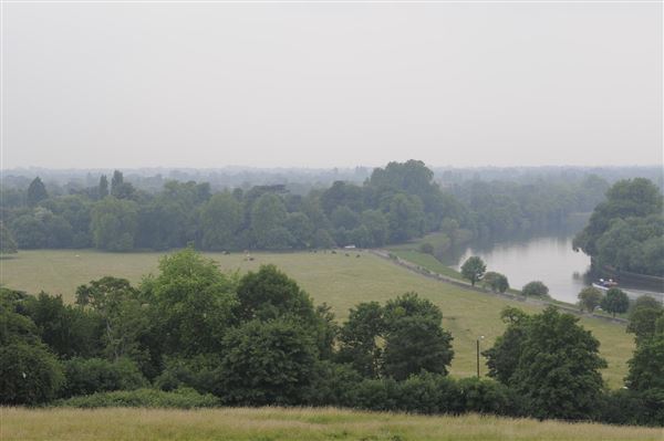 The Terrace Field (01/05/2019)