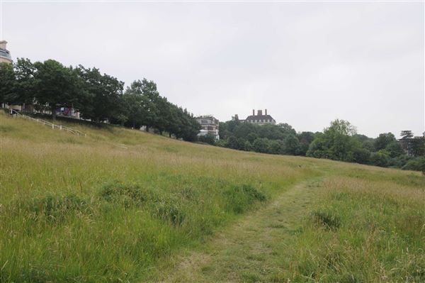 The Terrace Field (01/05/2019)