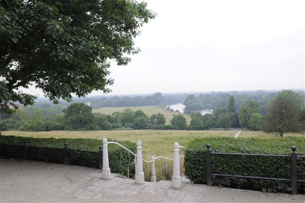The Terrace Field (01/05/2019)