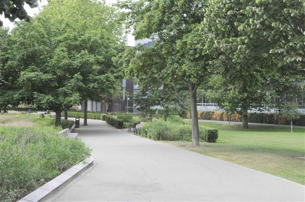 Potters Fields Park (01/05/2019)
