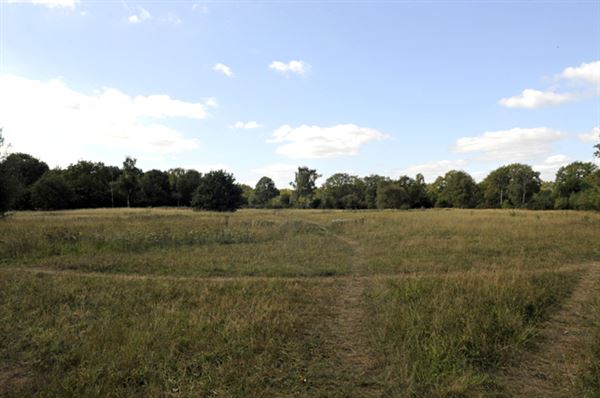 Barnes Common (01/05/2019)