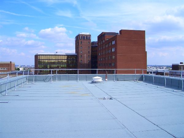 Views from Cumberland Road (01/05/2019)