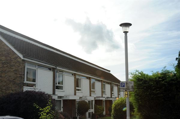 St Bernards (01/05/2019)