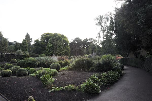 Coombe Wood (01/05/2019)