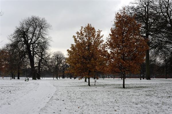 Kensington Gardens in the snow (01/05/2019)