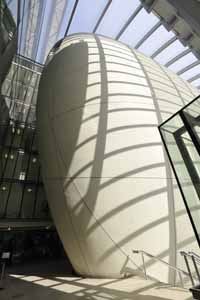 Natural History Museum - Darwin Centre (01/05/2019)