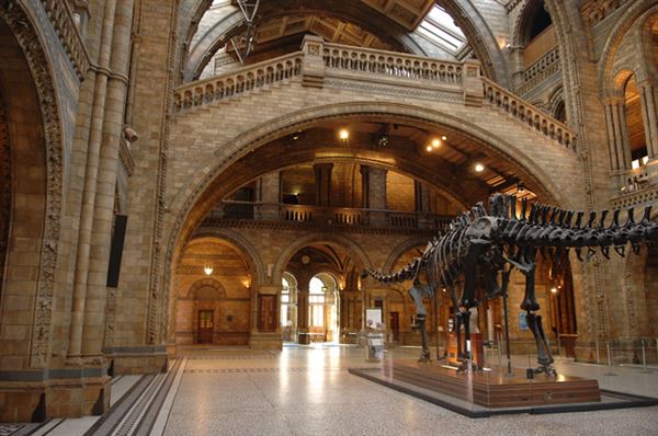 Natural History Museum (01/05/2019)