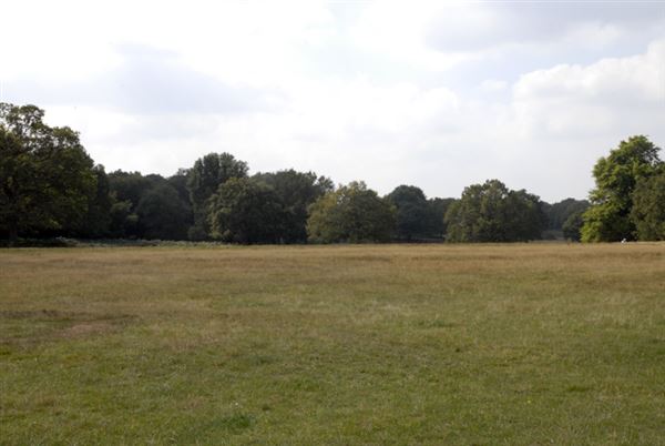 Richmond Park (01/05/2019)