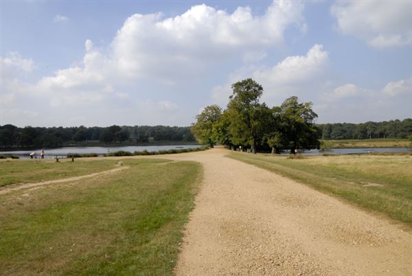 Richmond Park (01/05/2019)