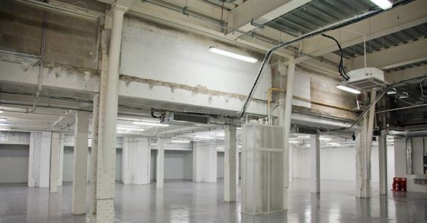 Victoria House - Basement (01/05/2019)