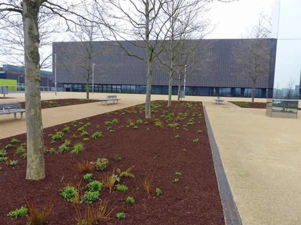 Copper Box Arena (QEOP) (01/05/2019)
