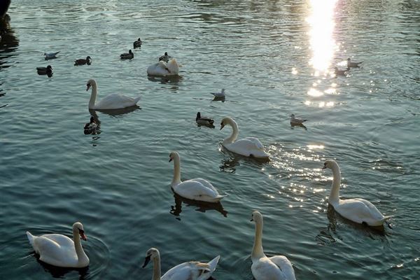 Kingston Riverside (01/05/2019)