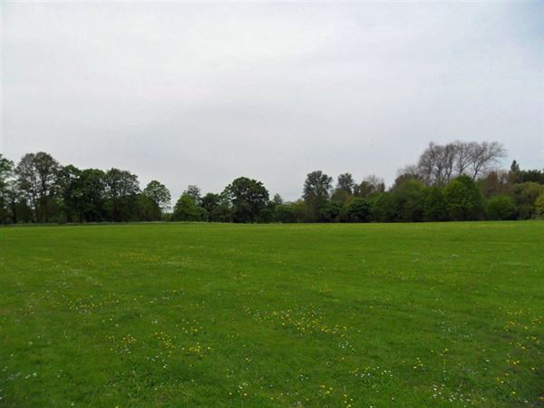 Foots Cray Meadows (01/05/2019)