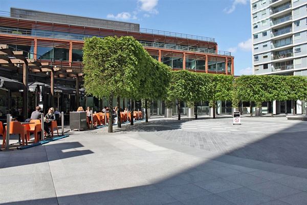 Cardinal Place - Park (01/05/2019)
