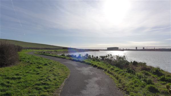 Rainham Marshes - Thames Side (20/04/2018)