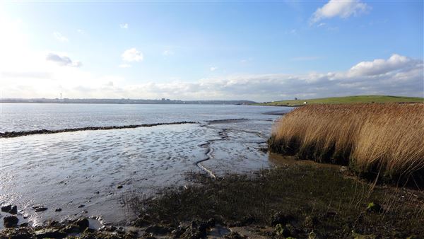 Rainham Marshes - Thames Side (20/04/2018)