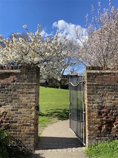 Grove Hall Park (07/04/2023 - Credits: Phil)