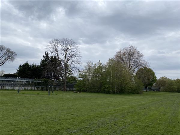 Abbey Hill Park (26/04/2023 - Credits: Phil)