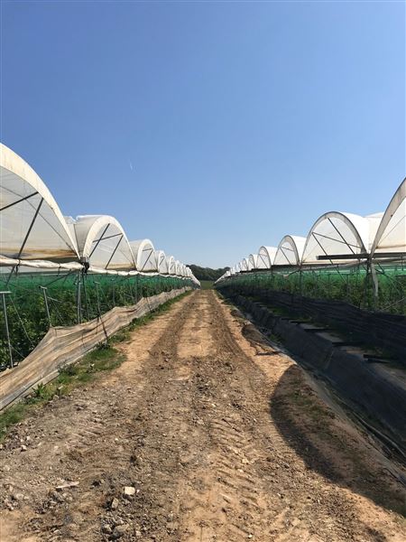 Honeybee Farm (01/05/2023 - Credits: submitted by: Jo Thompson)