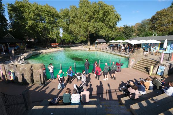 London Zoo (04/10/2024)