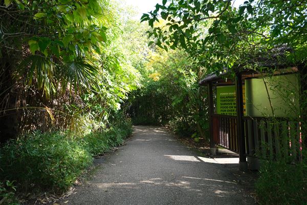 London Zoo (04/10/2024)