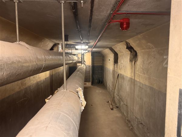 Barking Town Hall - Basement (17/01/2025)