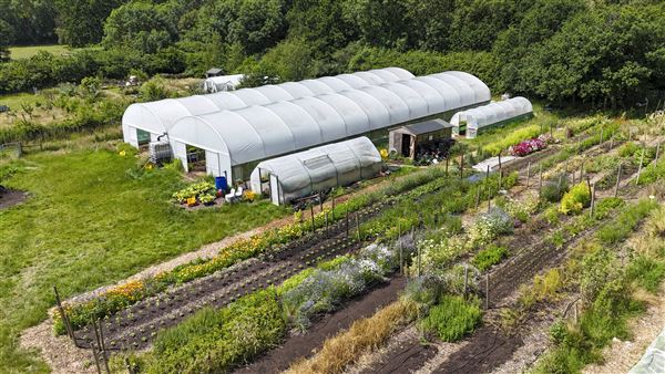 Soul Farm (25/03/2026 - Credits: submitted by: Jo Thompson)