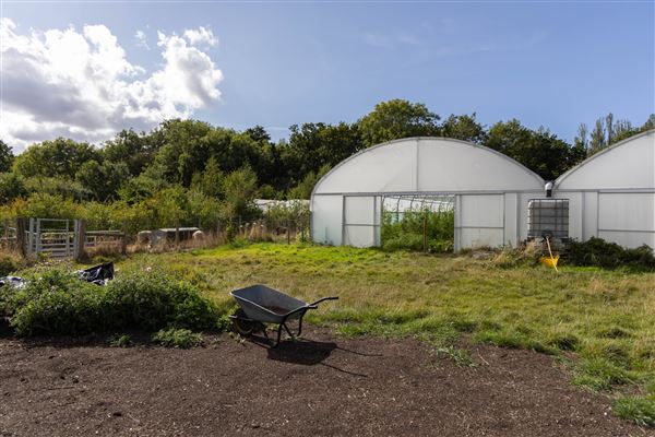 Soul Farm (25/03/2026 - Credits: submitted by: Jo Thompson)