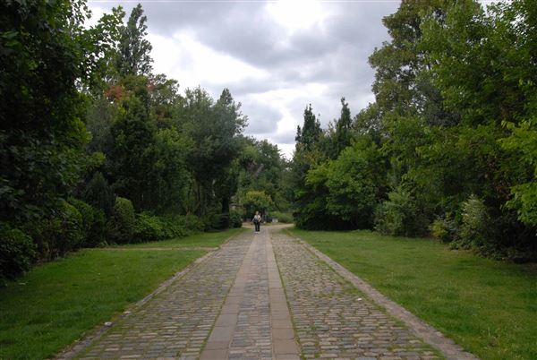 Abney Park Cemetery (01/05/2019)