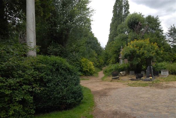 Abney Park Cemetery (01/05/2019)