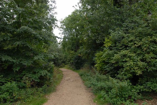 Abney Park Cemetery (01/05/2019)