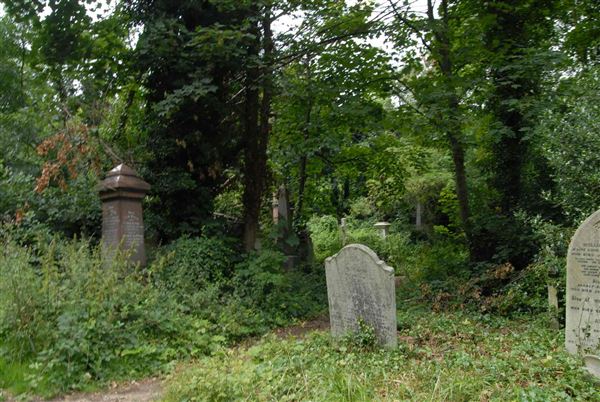 Abney Park Cemetery (01/05/2019)