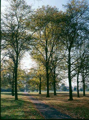 Hyde Park (01/05/2019)