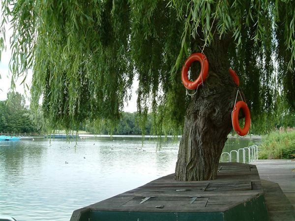 Regent's Park (01/05/2019)