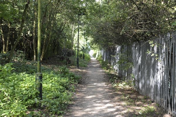 Stave Hill Ecological Park (01/05/2019)