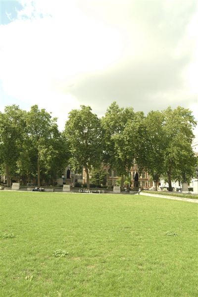 Parliament Square (01/05/2019)
