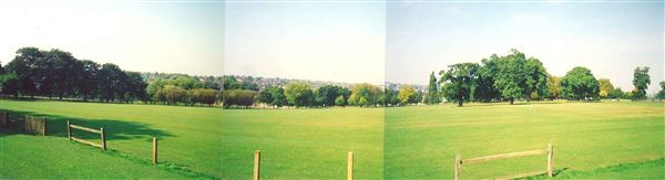 Norwood Park (01/05/2019)