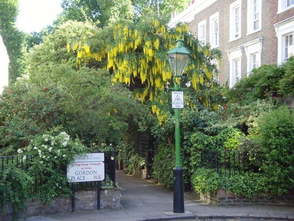 Gordon Place (01/05/2019)