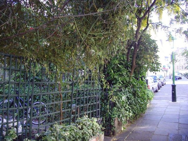 Gordon Place (01/05/2019)