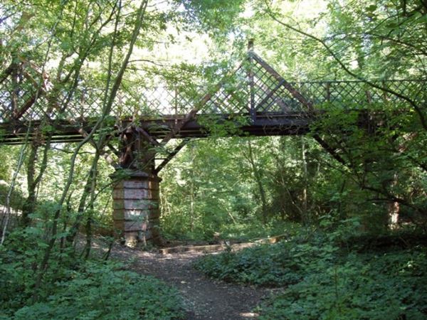 Sydenham Hill Wood (01/05/2019)