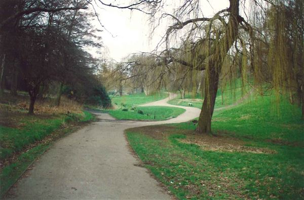 Maryon Wilson Park (01/05/2019)