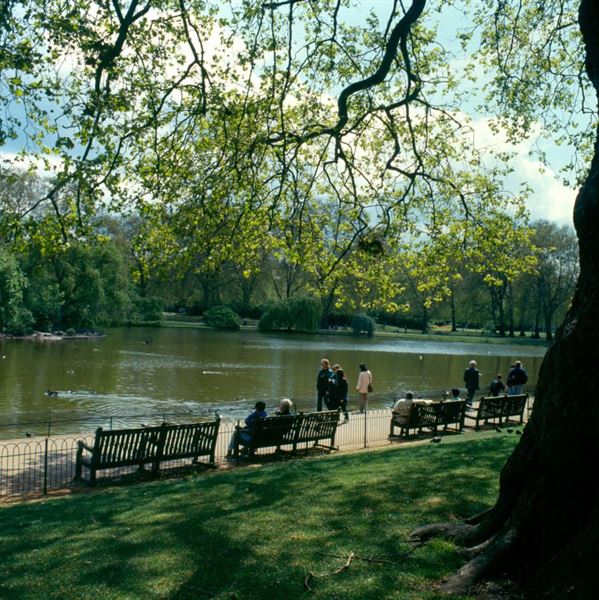 St James's Park (01/05/2019)