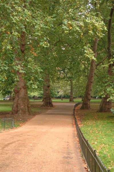 St James's Park (01/05/2019)