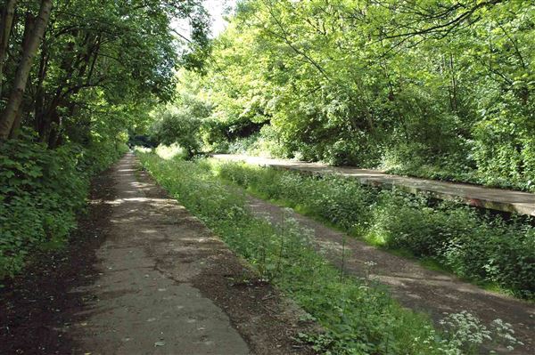 Parkland Walk (01/05/2019)