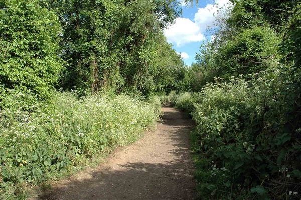 Parkland Walk (01/05/2019)