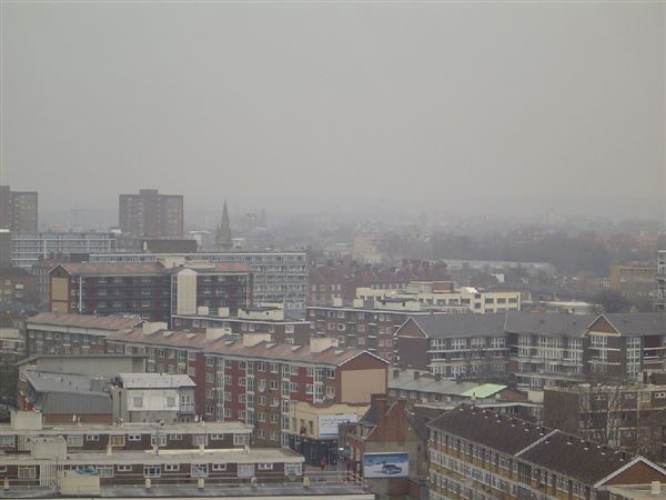 Gascoyne Estate (01/05/2019)