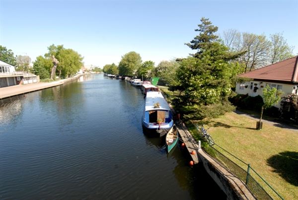 Springfield Park (01/05/2019)