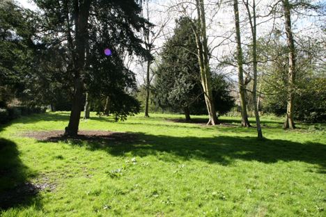 Chiswick House Grounds (01/05/2019)