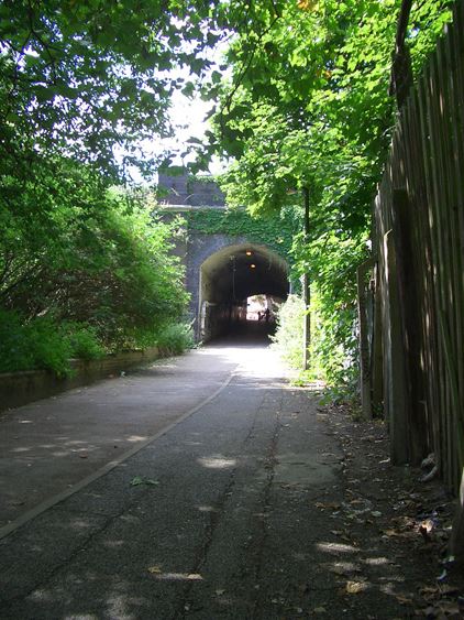 Cross Lane (01/05/2019)